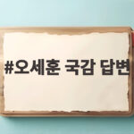 오세훈 국감 답변 한강버스 의혹과 주택 공급 쟁점 오세훈 국감 답변
