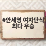 안세영 여자단식 최다 우승