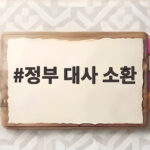 정부 대사 소환