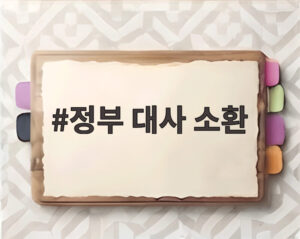 정부 대사 소환