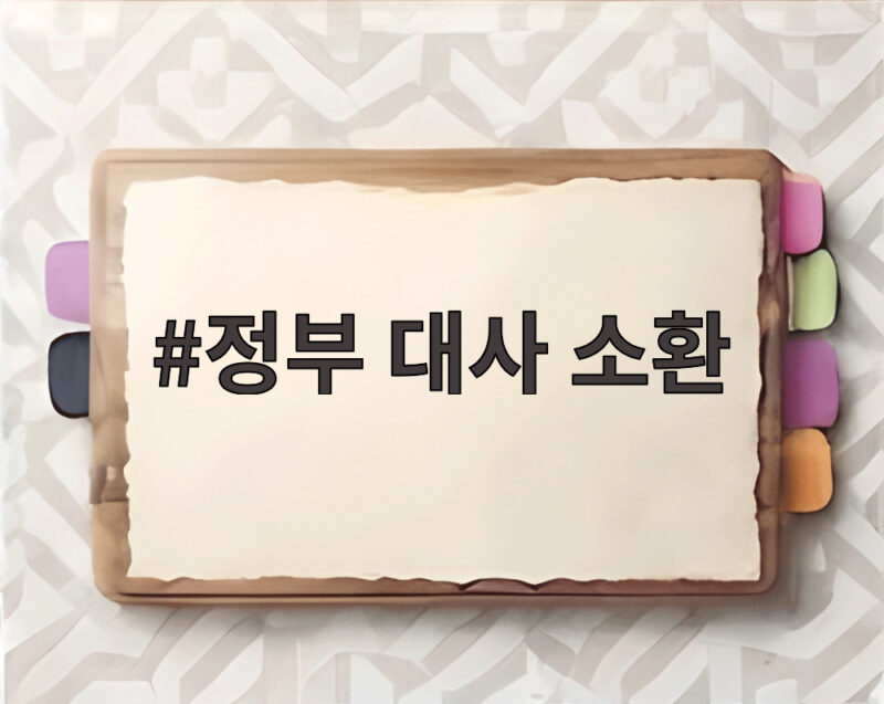 정부 대사 소환