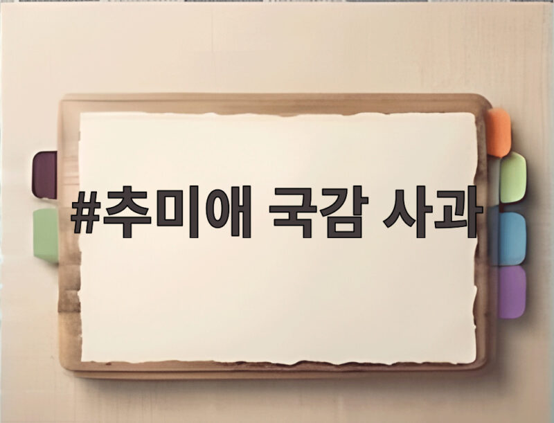 추미애 국감 사과 소방 재정 빨대 논란은 이렇게 마무리됐다 1 추미애 국감 사과