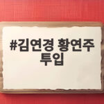 김연경 황연주 투입