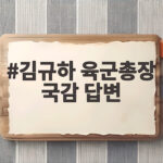 김규하 육군총장 국감 답변 오늘 국방위 현장 이모저모 김규하 육군총장 국감 답변