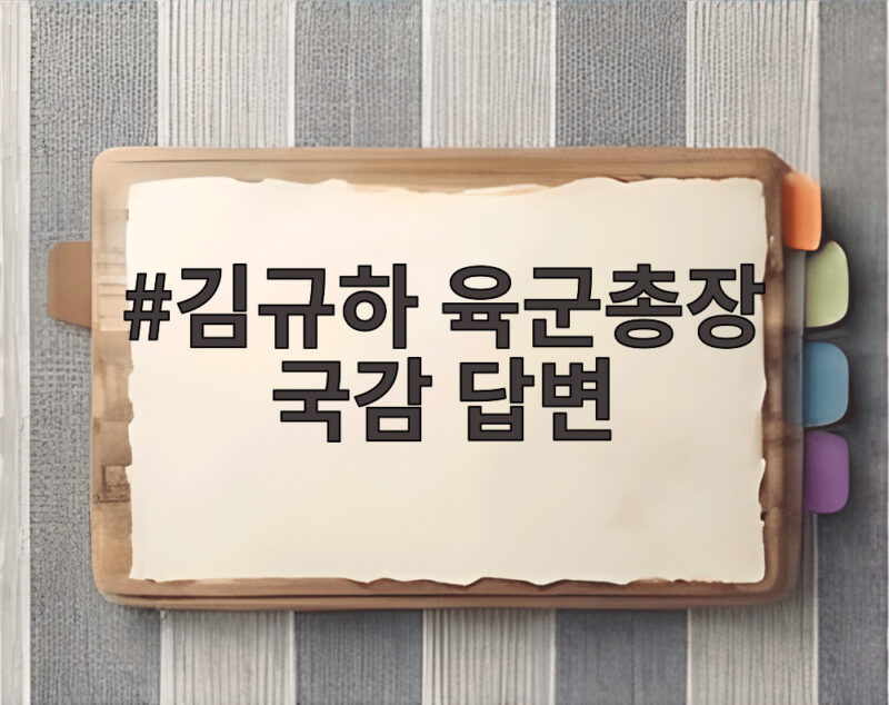 김규하 육군총장 국감 답변