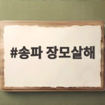 송파 장모살해 신상공개 일정과 범행 과정 정리 송파 장모살해