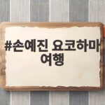 손예진 요코하마 여행 사진 속 현빈과 아이 정체가 궁금하다 손예진 요코하마 여행