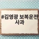 김영광 보복운전 사과