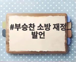 부승찬 소방 재정 발언