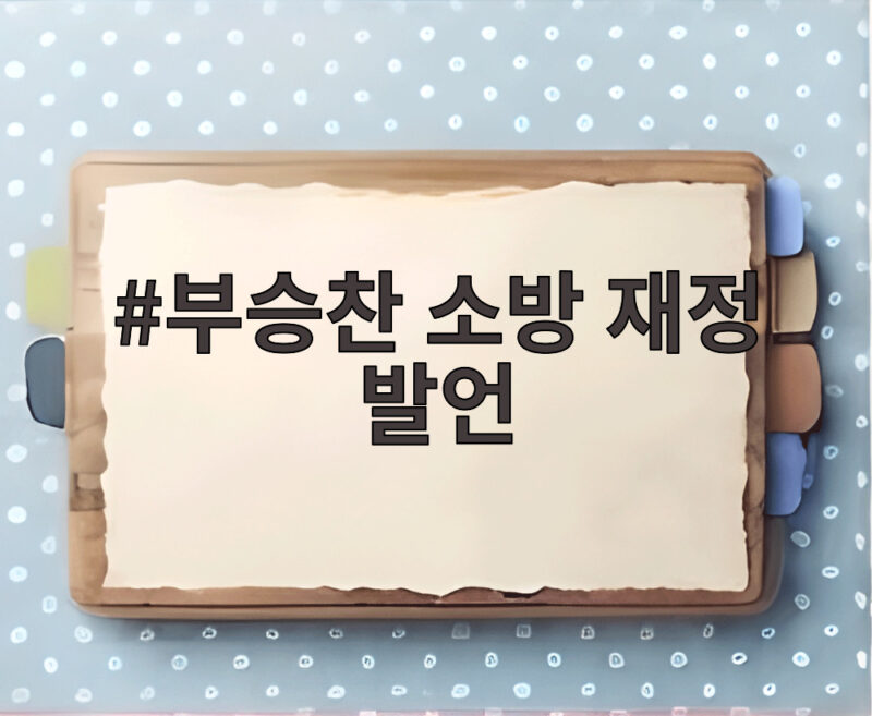 부승찬 소방 재정 발언