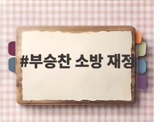 부승찬 소방 재정