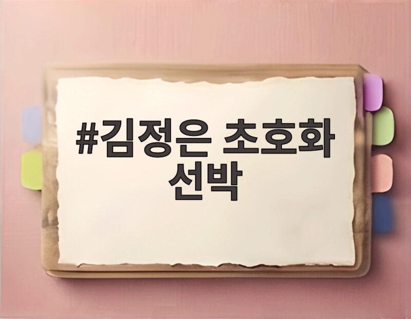 김정은 초호화 선박 포착 80미터 수영장 워터슬라이드 비용 1 김정은 초호화 선박