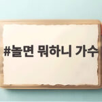 놀면 뭐하니 가수