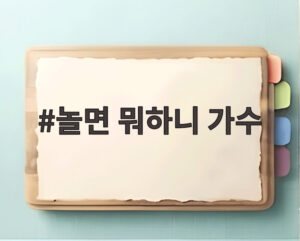 놀면 뭐하니 가수
