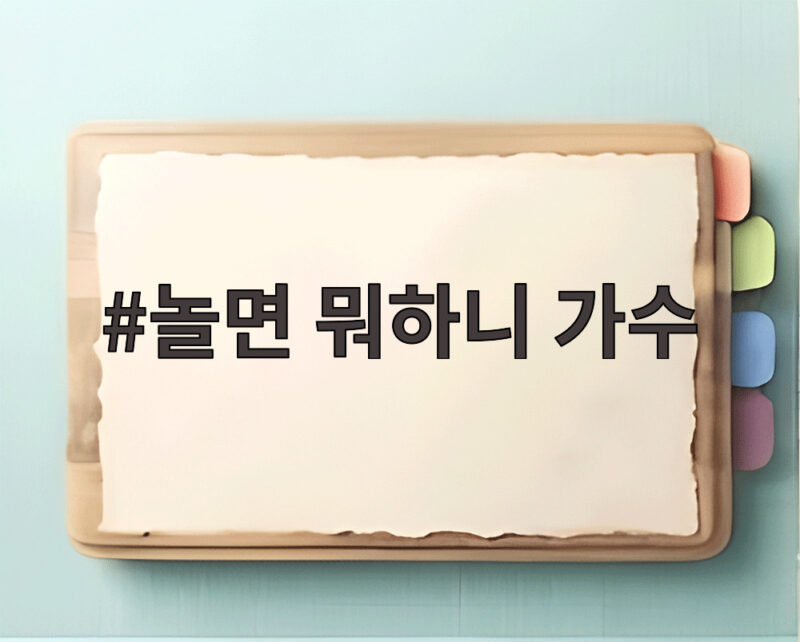 놀면 뭐하니 가수