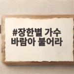 장한별 가수 바람아 불어라