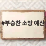 부승찬 소방 예산 발언 한마디에 국감이 중단된 이유 부승찬 소방 예산