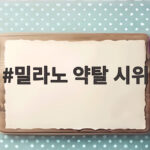 밀라노 약탈 시위로 바라본 이탈리아 민생 불안과 앞으로의 과제 밀라노 약탈 시위