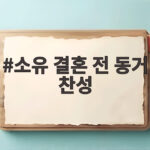 소유 결혼 전 동거 찬성