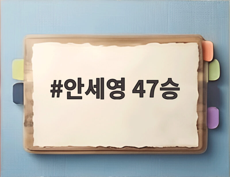 안세영 47승 새 역사 통산 최다 우승 기록의 순간 1 안세영 47승