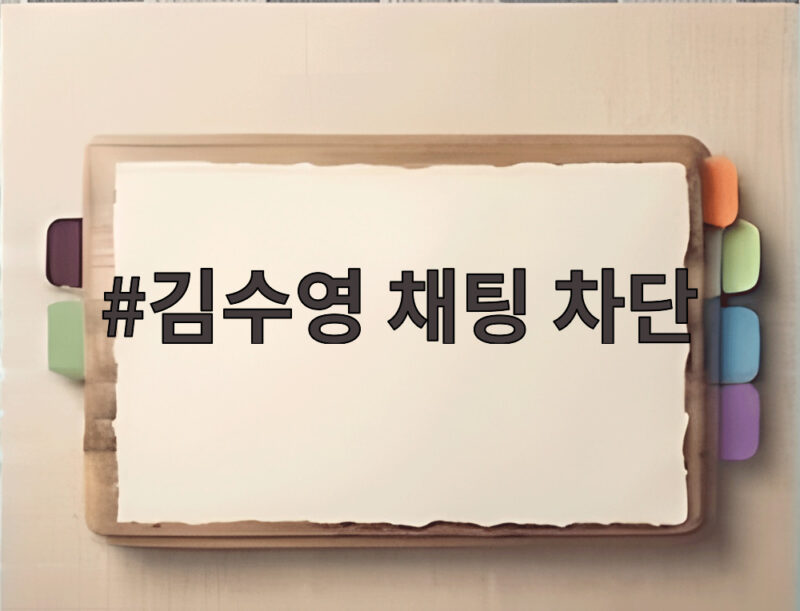 김수영 채팅 차단 논란 게장 원산지 질문 사과까지 1 김수영 채팅 차단