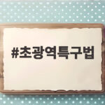 초광역특구법