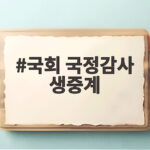 국회 국정감사 생중계