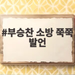 부승찬 소방 쭉쭉 발언