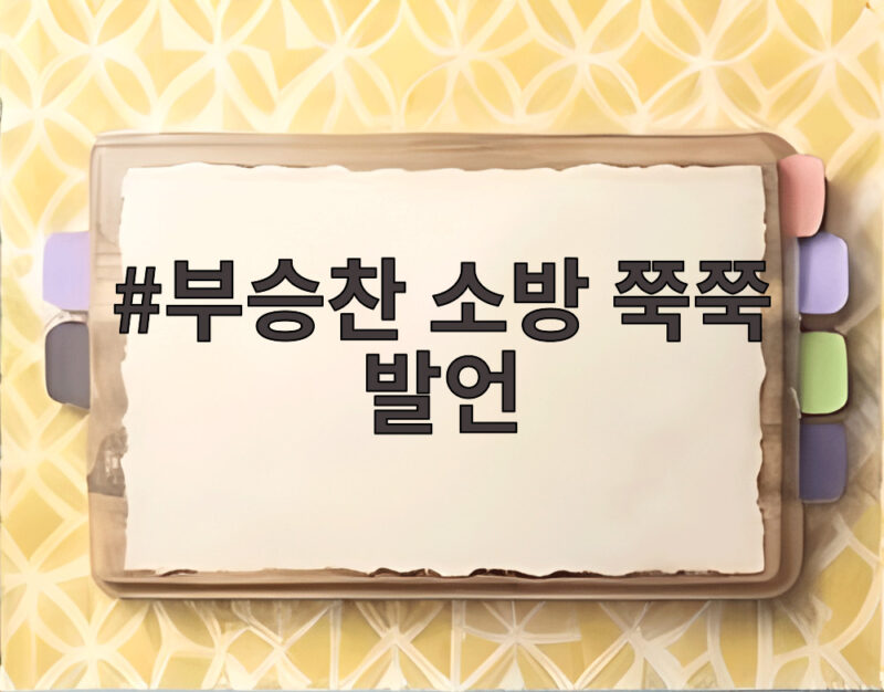 부승찬 소방 쭉쭉 발언이 남긴 후폭풍과 여야 신경전 1 부승찬 소방 쭉쭉 발언