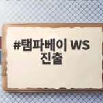 탬파베이 WS 진출, 6년 만에 첫 우승 도전 탬파베이 WS 진출