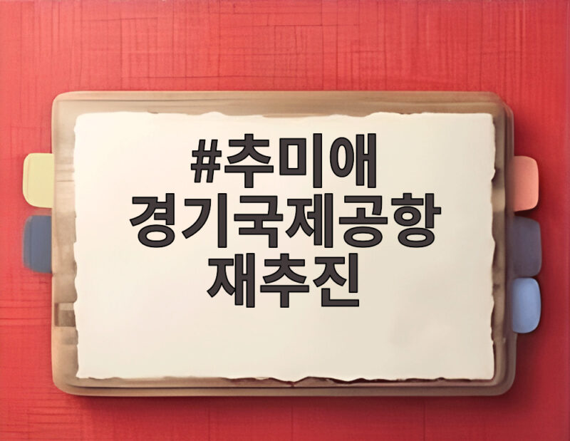 추미애 경기국제공항 재추진