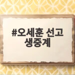 오세훈 선고 생중계 23일 오후 2시 시장직 운명은 오세훈 선고 생중계