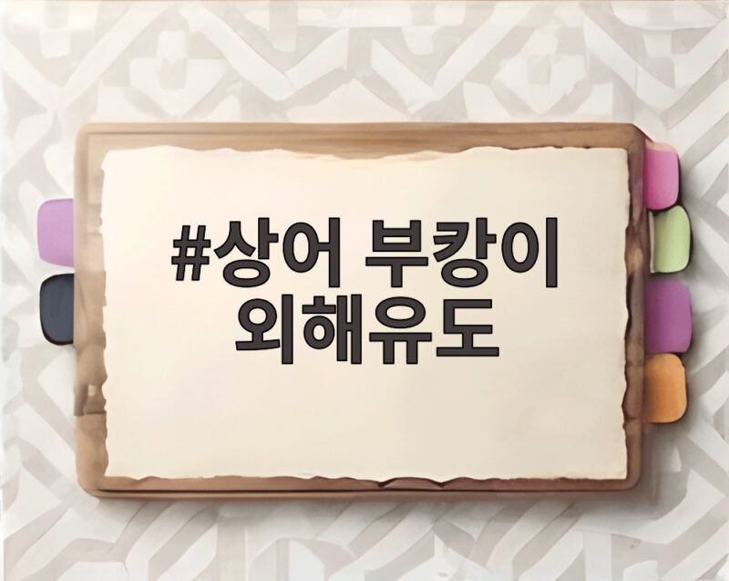 상어 부캉이 외해유도
