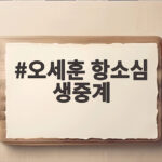 오세훈 항소심 생중계