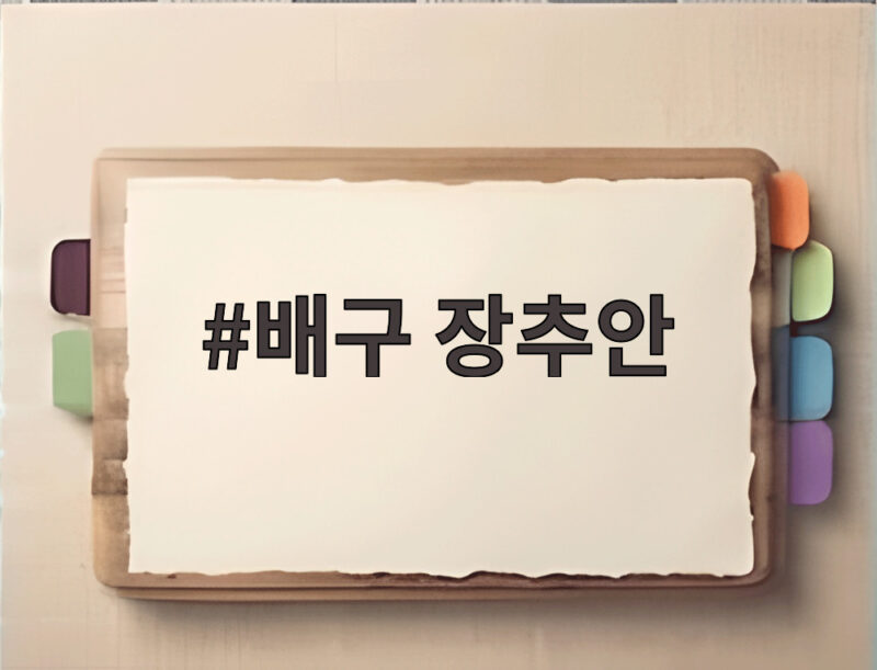 배구 장추안