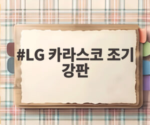 LG 카라스코 조기 강판