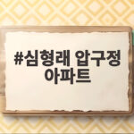 심형래 압구정 아파트 7800만원에 매입한 전성기 CF 수입 공개 심형래 압구정 아파트