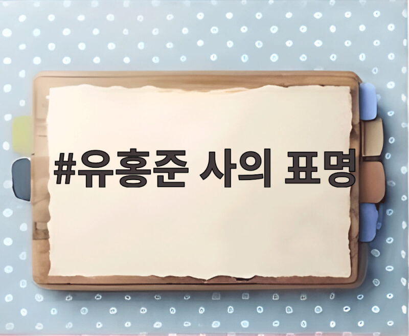 유홍준 사의 표명