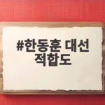 한동훈 대선 적합도 18.7 1위 흐름을 읽는 방법 한동훈 대선 적합도