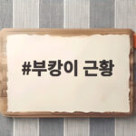 부캉이 근황 부산 북항 상어 보러 140만명 몰렸다 부캉이 근황