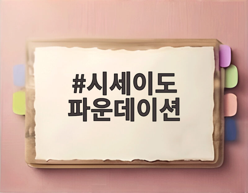 시세이도 파운데이션 두 가지 빛으로 완성하는 피부 표현법 1 시세이도 파운데이션