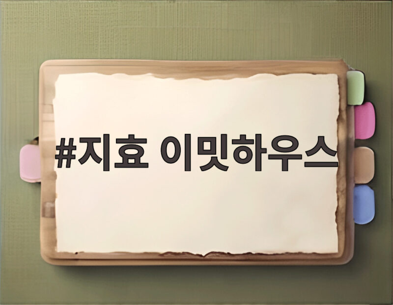 지효 이밋하우스 설립 트와이스 활동은 어떻게 되나 1 지효 이밋하우스