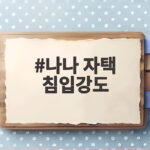 나나 자택 침입강도 사건 항소심 앞두고 피고인 태도 논란 나나 자택 침입강도