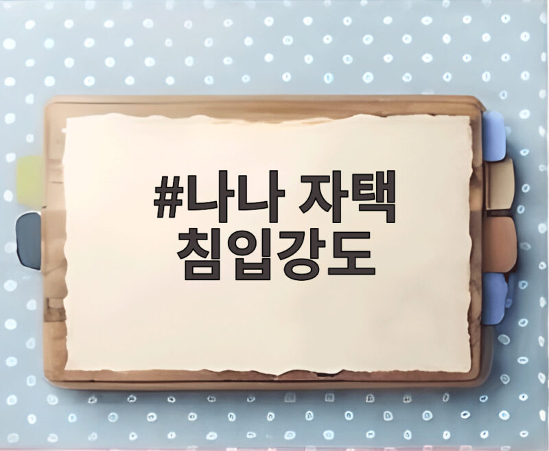 나나 자택 침입강도 사건 항소심 앞두고 피고인 태도 논란 1 나나 자택 침입강도