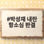 박성재 내란 항소심 판결 1심 25년서 9년 감형 이유는 박성재 내란 항소심 판결