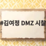 김여정 DMZ 시찰