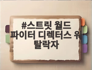 스트릿 월드 파이터 디렉터스 워 탈락자