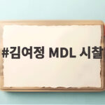 김여정 MDL 시찰