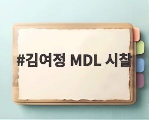 김여정 MDL 시찰