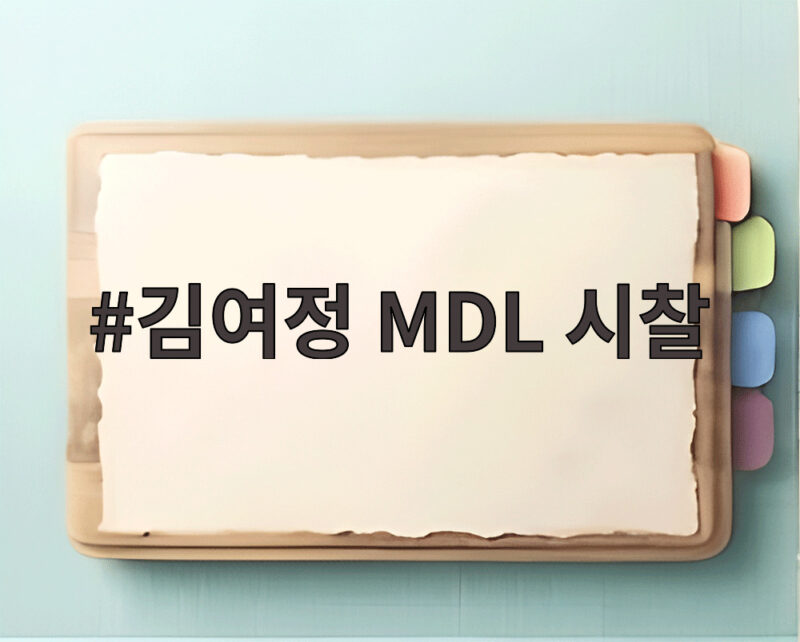 김여정 MDL 시찰로 다시 본 남북 긴장 고조 1 김여정 MDL 시찰